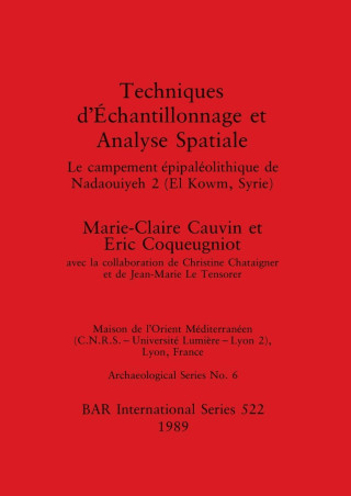 Techniques d'Échantillonnage et Analyse Spatiale