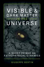 Visible and Dark Matter in the Universe