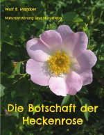 Botschaft der Heckenrose