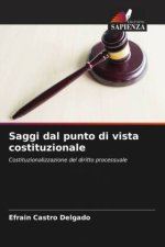 Saggi dal punto di vista costituzionale