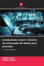 Computaç?o suave e técnica de mineraç?o de dados para previs?o