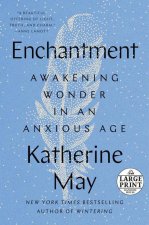 Enchantment: Awakening Wonder in an Anxious Age