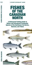 Fishes of the Canadian North: Northwest Territories, Nunavut and Yukon