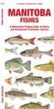 Manitoba Fishes: A Waterproof Folding Guide to Native and Introduced Species