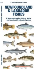 Newfoundland & Labrador Fishes: A Waterproof Folding Guide to Native and Introduced Species