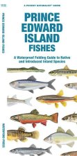Prince Edward Island Fishes: A Waterproof Folding Guide to Native and Introduced Species