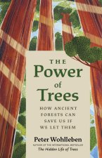 Power of Trees