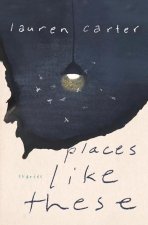 Places Like These: Stories