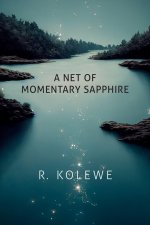 Net of Momentary Sapphire