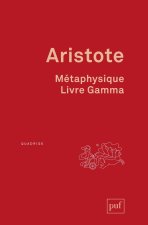 Métaphysique, livre Gamma