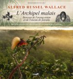 L'archipel malais - Berceay de l'orang-outan et de l'oiseau de paradis - Récit de voyage avec des ét