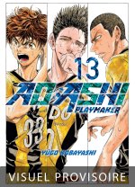 AO ASHI T13