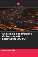 Análise de desempenho da transmiss?o assimétrica XG-PON