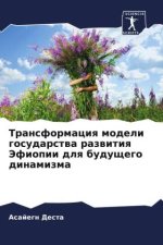 Transformaciq modeli gosudarstwa razwitiq Jefiopii dlq buduschego dinamizma