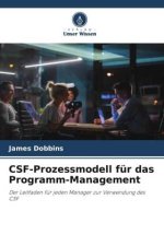 CSF-Prozessmodell für das Programm-Management