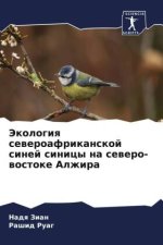 Jekologiq seweroafrikanskoj sinej sinicy na sewero-wostoke Alzhira