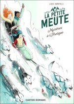 Mystères à l'Arctique