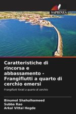 Caratteristiche di rincorsa e abbassamento - Frangiflutti a quarto di cerchio emersi