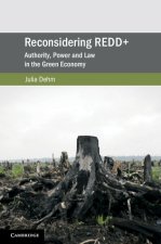 Reconsidering REDD+