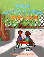 Adventures of Snook & Gator