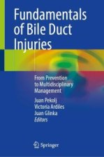 Fundamentals of Bile Duct Injuries