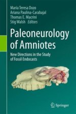Paleoneurology of Amniotes