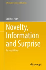 Novelty, Information and Surprise