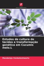 Estudos de cultura de tecidos e transformaç?o genética em Cucumis melo.L