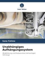Unabhängiges Aufhängungssystem