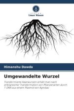 Umgewandelte Wurzel