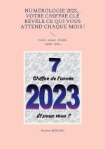 Numerologie 2023... Votre chiffre CLE revele ce qui vous attend chaque mois !