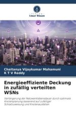 Energieeffiziente Deckung in zufällig verteilten WSNs