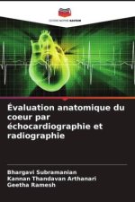 Évaluation anatomique du coeur par échocardiographie et radiographie