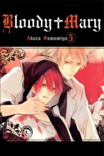 Bloody Mary 5