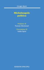 Michelangelo politico