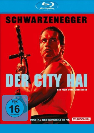 Der City Hai