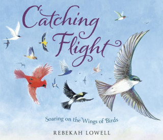 Catching Flight: Soaring on the Wings of Birds