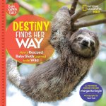 Destiny Finds Her Way: How a Rescued Baby Sloth Learned to Be Wild