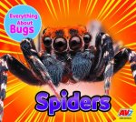Spiders