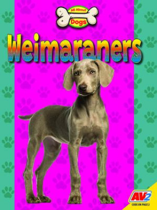 Weimaraners