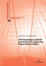 Defis linguistiques et culturels pour la gestion des risques dans l'espace rhenan et ailleurs