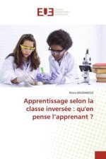 Apprentissage selon la classe inversée : qu'en pense l?apprenant ?