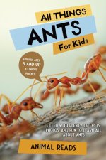 All Things Ants For Kids