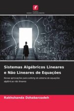 Sistemas Algébricos Lineares e N?o Lineares de Equaç?es