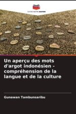 Un aperçu des mots d'argot indonésien - compréhension de la langue et de la culture
