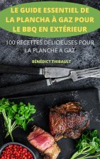 Le Guide Essentiel de la Plancha ? Gaz Pour Le BBQ En Extérieur