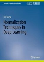 Normalization Techniques in Deep Learning