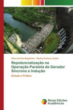 Repotencializaç?o na Operaç?o Paralela de Gerador Síncrono e Induç?o