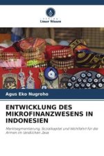 ENTWICKLUNG DES MIKROFINANZWESENS IN INDONESIEN