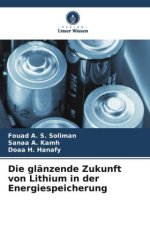 Die glänzende Zukunft von Lithium in der Energiespeicherung